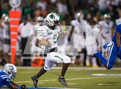 Thumbnail 1 in Tampa Catholic @ Jesuit photogallery.