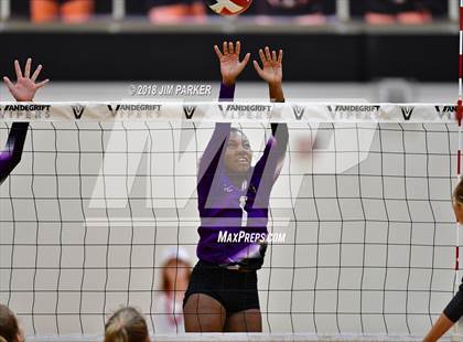 Thumbnail 3 in Cedar Ridge @ Vandegrift photogallery.