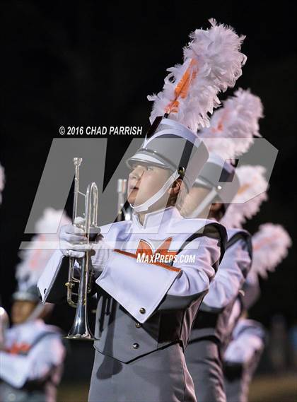 Thumbnail 3 in Quitman @ Mineola photogallery.