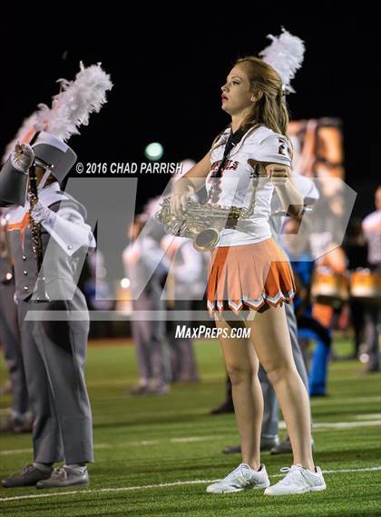 Thumbnail 1 in Quitman @ Mineola photogallery.