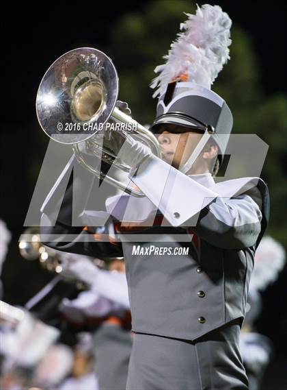 Thumbnail 3 in Quitman @ Mineola photogallery.