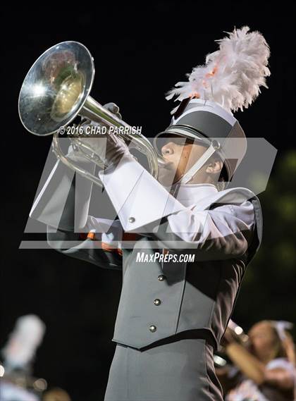 Thumbnail 3 in Quitman @ Mineola photogallery.