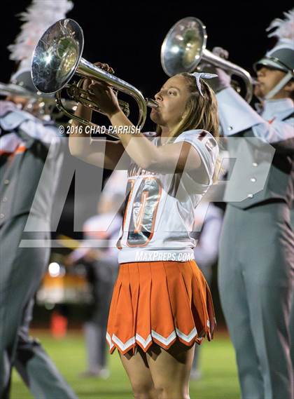 Thumbnail 1 in Quitman @ Mineola photogallery.