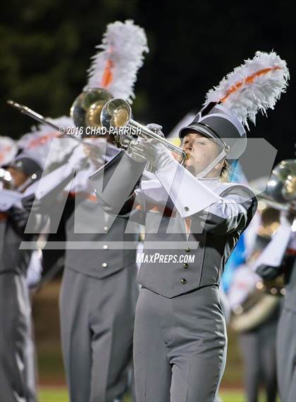 Thumbnail 2 in Quitman @ Mineola photogallery.