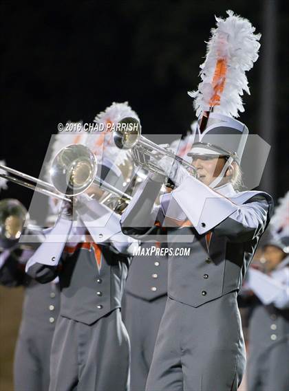 Thumbnail 1 in Quitman @ Mineola photogallery.