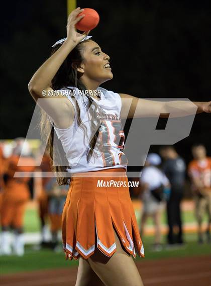 Thumbnail 1 in Quitman @ Mineola photogallery.