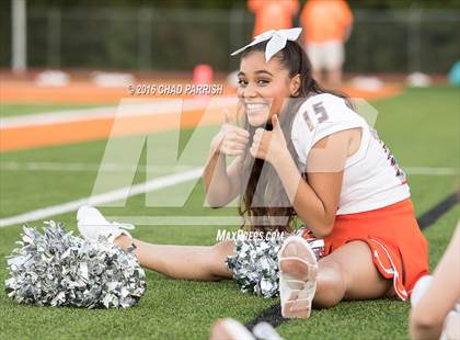 Thumbnail 3 in Quitman @ Mineola photogallery.
