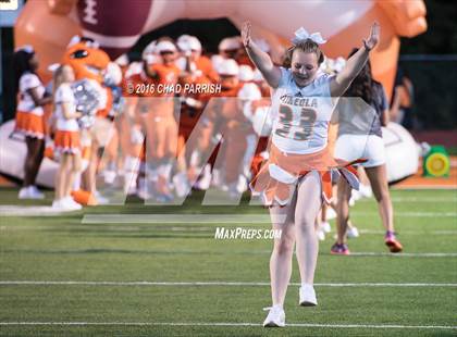 Thumbnail 1 in Quitman @ Mineola photogallery.