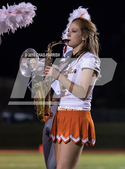 Thumbnail 1 in Quitman @ Mineola photogallery.