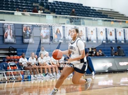 Thumbnail 3 in JV: Weiss @ Bryan photogallery.