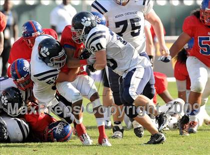 Thumbnail 3 in Marin Catholic vs. Serra (CIF State D3 Final) photogallery.
