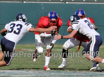 Thumbnail 1 in Marin Catholic vs. Serra (CIF State D3 Final) photogallery.