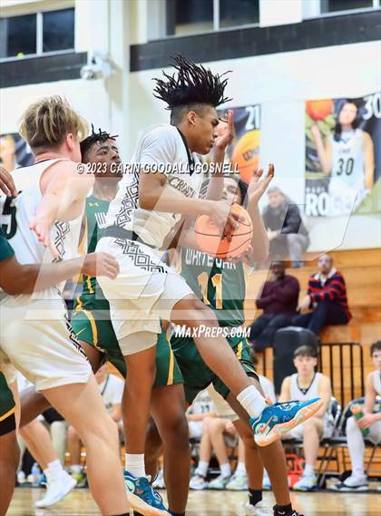 Thumbnail 1 in White Oak @ Croatan photogallery.