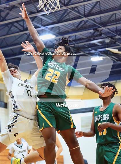 Thumbnail 2 in White Oak @ Croatan photogallery.