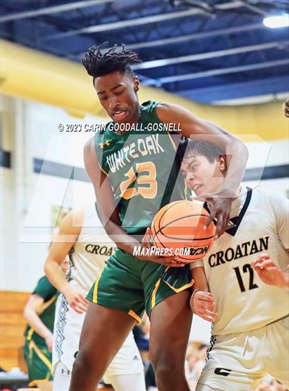 Thumbnail 1 in White Oak @ Croatan photogallery.