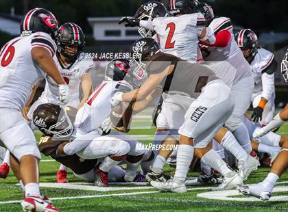 Thumbnail 3 in Cleveland @ Crespi photogallery.