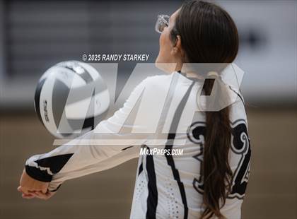 Thumbnail 3 in Lehigh @ Mariner photogallery.