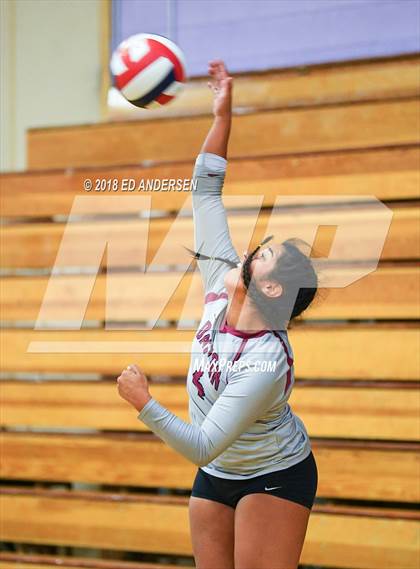 Thumbnail 1 in Dayton vs. Pershing County (Yerington Invitational) photogallery.