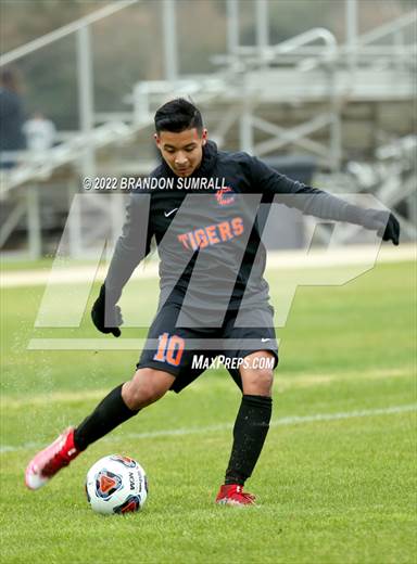 null - Photo 01