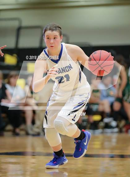 Thumbnail 1 in Lebanon vs. Gallatin (TSSAA District 9-AAA Quarterfinal) photogallery.
