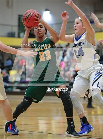 Thumbnail 1 in Lebanon vs. Gallatin (TSSAA District 9-AAA Quarterfinal) photogallery.