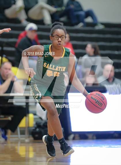 Thumbnail 3 in Lebanon vs. Gallatin (TSSAA District 9-AAA Quarterfinal) photogallery.