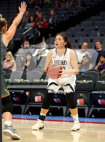 Thumbnail 3 in Rio Americano vs Elk Grove (@ Golden 1 Center) photogallery.