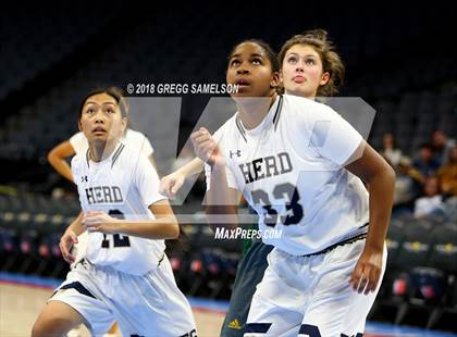 Thumbnail 3 in Rio Americano vs Elk Grove (@ Golden 1 Center) photogallery.