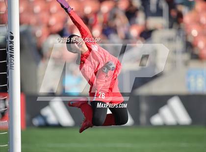 Thumbnail 1 in Syracuse vs. Davis (UHSAA 6A Semi Final) photogallery.