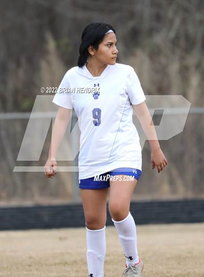 Thumbnail 2 in Statesville @ Bandys photogallery.