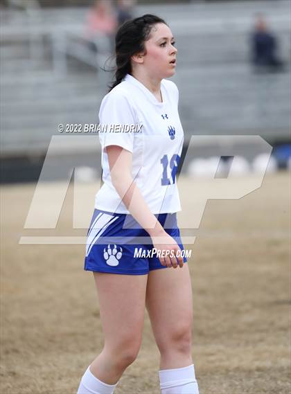 Thumbnail 1 in Statesville @ Bandys photogallery.