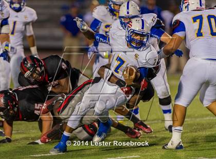 Thumbnail 2 in Clemens @ Stevens photogallery.