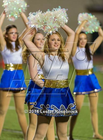 Thumbnail 3 in Clemens @ Stevens photogallery.
