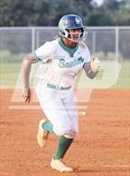 Photo from the gallery "Sumner vs. Sarasota (FHSAA 7A Regional Quarterfinals)"