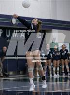 Photo from the gallery "Santiago @ Chaparral"