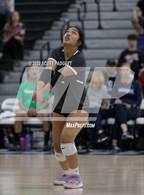 Photo from the gallery "Santiago @ Chaparral"