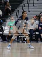 Photo from the gallery "Santiago @ Chaparral"