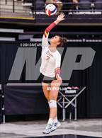 Photo from the gallery "Mountain View vs. Cedar (UHSAA 4A Second Round)"