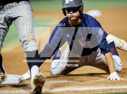 Thumbnail 2 in Basha @ Perry photogallery.