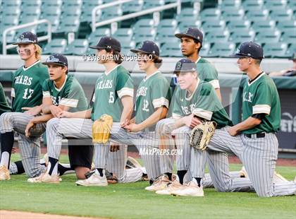 Thumbnail 1 in Basha @ Perry photogallery.