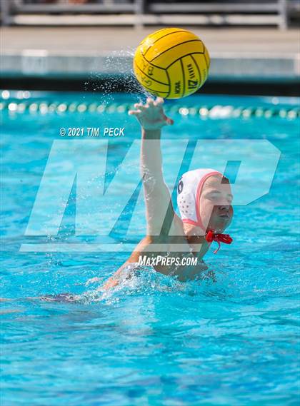 Thumbnail 2 in San Clemente @ Beckman photogallery.