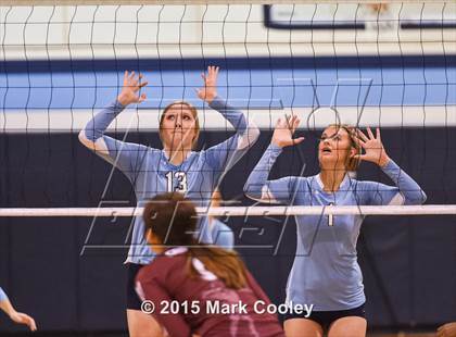Thumbnail 3 in Cameron Yoe @ China Spring photogallery.