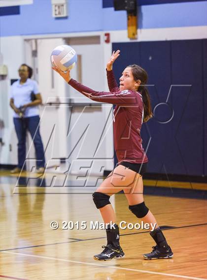 Thumbnail 3 in Cameron Yoe @ China Spring photogallery.