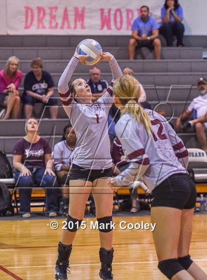 Thumbnail 1 in Cameron Yoe @ China Spring photogallery.
