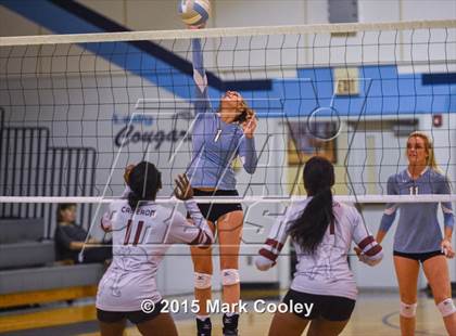 Thumbnail 3 in Cameron Yoe @ China Spring photogallery.