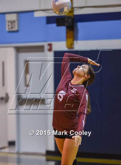 Thumbnail 2 in Cameron Yoe @ China Spring photogallery.