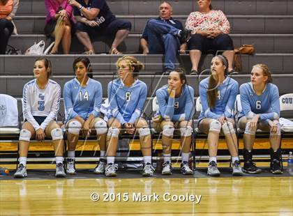 Thumbnail 3 in Cameron Yoe @ China Spring photogallery.