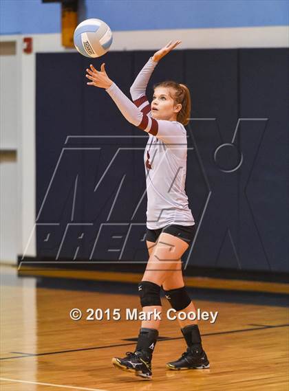 Thumbnail 3 in Cameron Yoe @ China Spring photogallery.