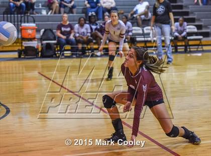 Thumbnail 3 in Cameron Yoe @ China Spring photogallery.