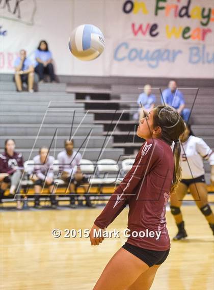 Thumbnail 2 in Cameron Yoe @ China Spring photogallery.